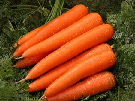 CARROTS 1KG