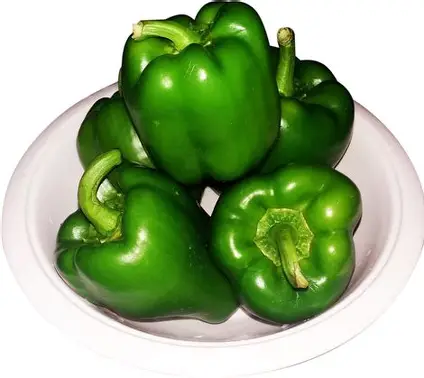 GREEN PAPPER 5PC