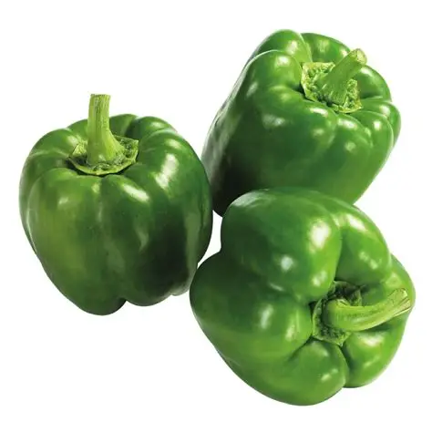 green pepper 3PC