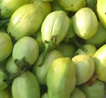 garden eggs (intoryi)1KG