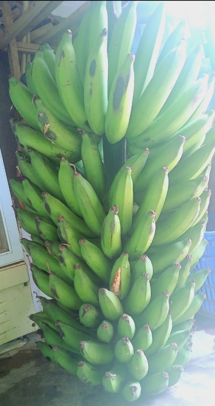 More that 10kg